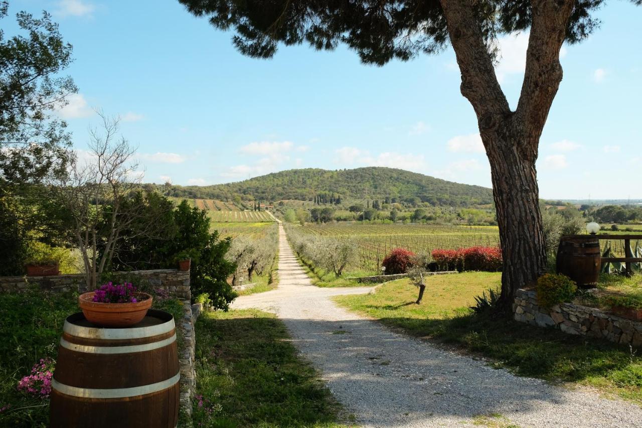 Agriturismo Biologico Bulichella Suvereto Bagian luar foto