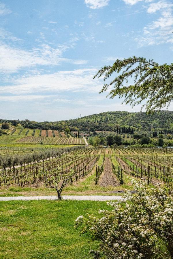 Agriturismo Biologico Bulichella Suvereto Bagian luar foto