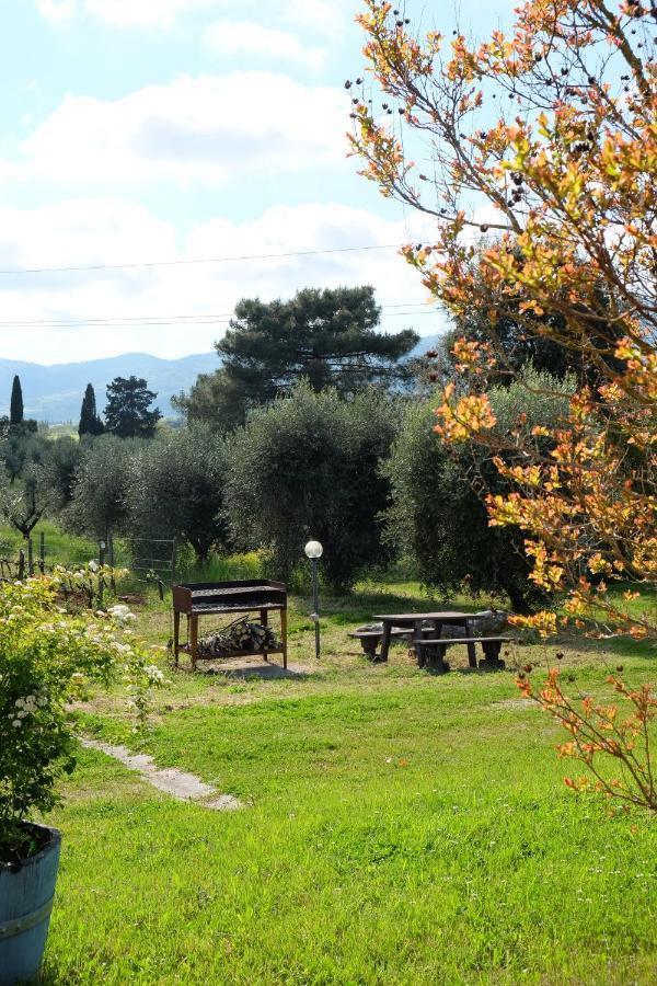 Agriturismo Biologico Bulichella Suvereto Bagian luar foto