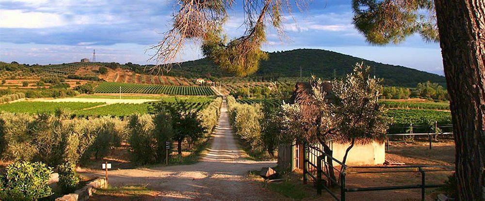 Agriturismo Biologico Bulichella Suvereto Bagian luar foto